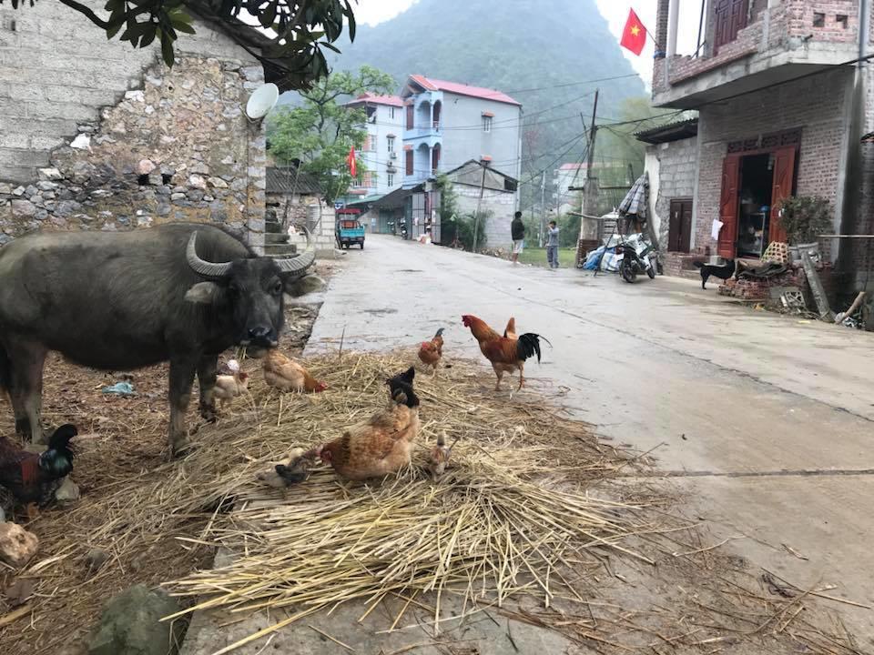 A Sy Ban Gioc Homestay - Lang Da Khuoi Ky Cao Bang Exteriér fotografie